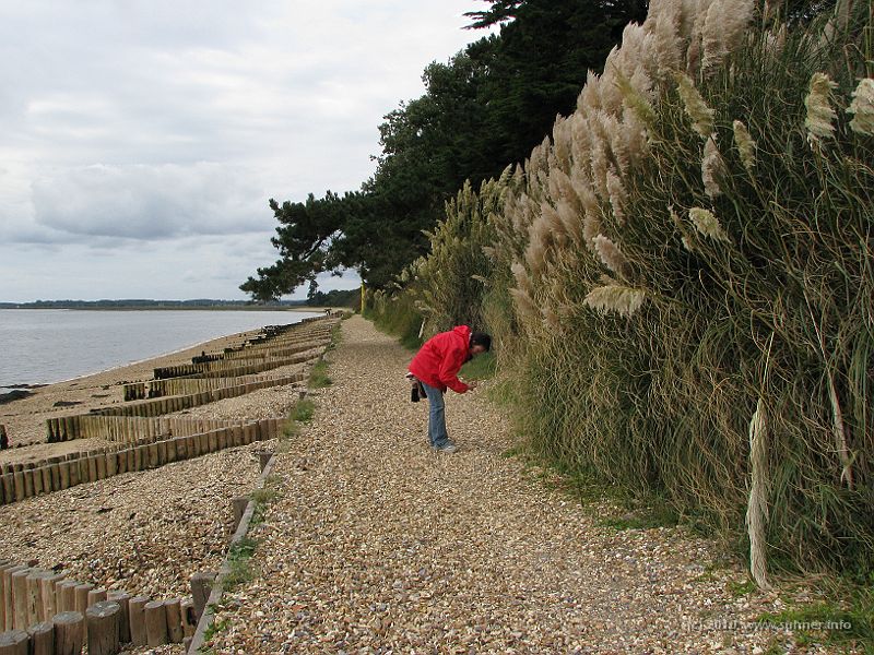 IMG_1709.jpg - Same place, different direction - reveals interest in the beautiful stones...