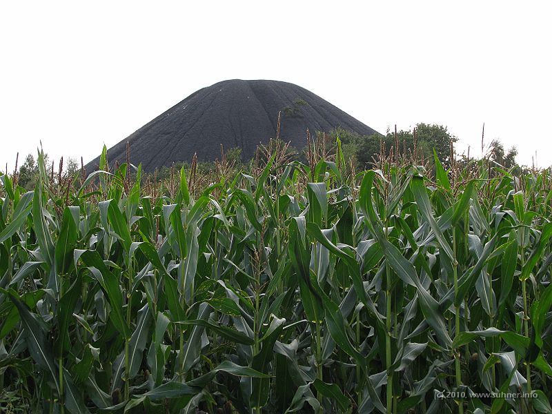 IMG_1726.jpg - Coal hill near Midsomer Norton