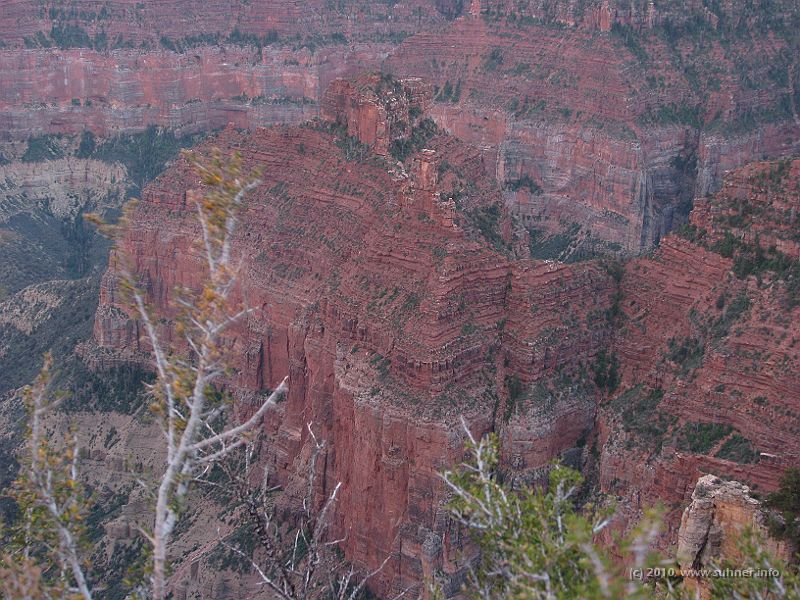 IMG_1700.jpg - Every single gaze returns new, breathtaking shapes.