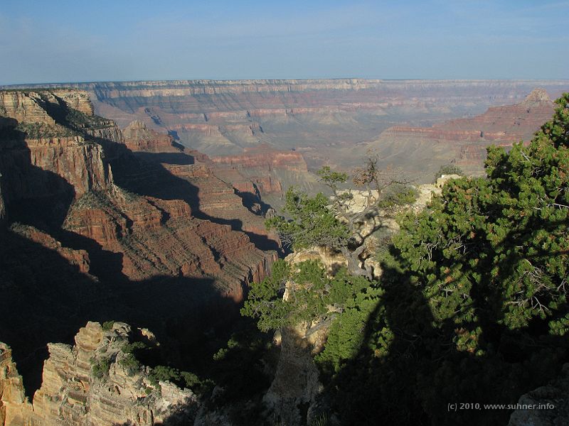 IMG_1772.JPG - Yes, they are!