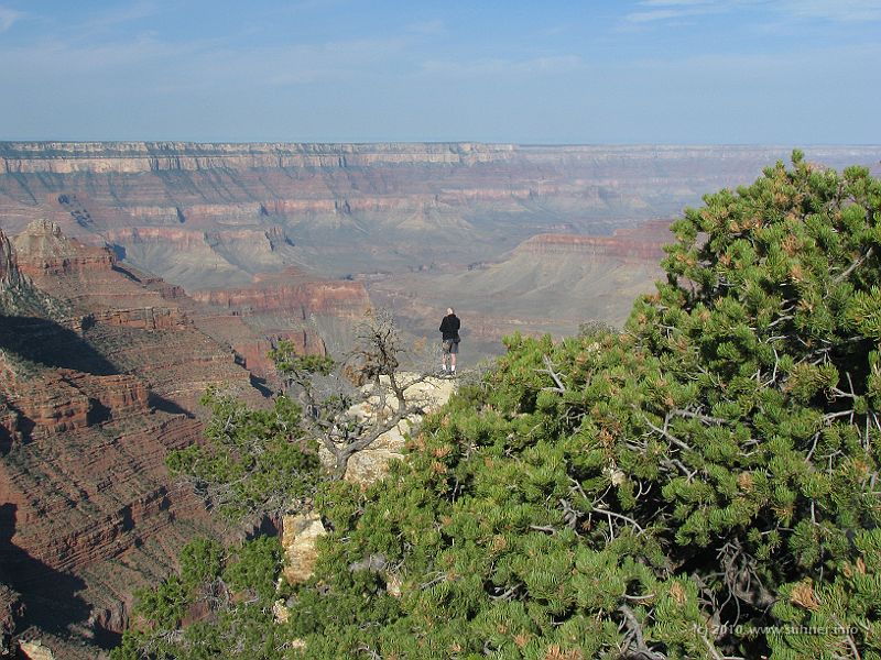 IMG_1800.JPG - That's why from my current position (beyond the fences again), I can already see the next one standing where I was just minutes before