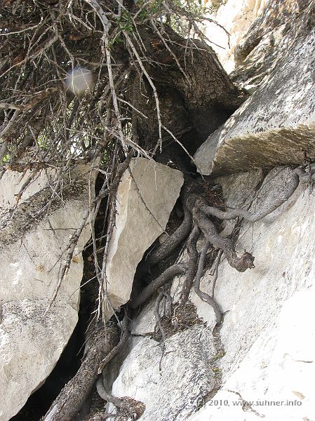 IMG_1867.JPG - ...adding to the erosion