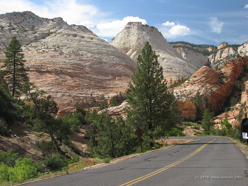 IMG_1906.JPG - Just unique!