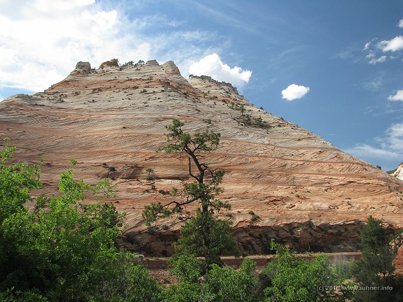 IMG_1910.JPG - ...