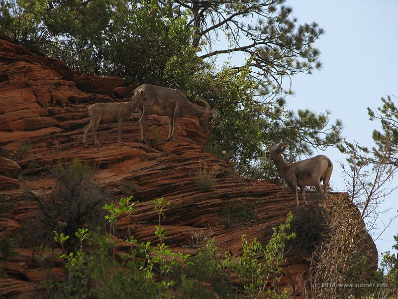 IMG_1922.JPG - The whole family out for lunch