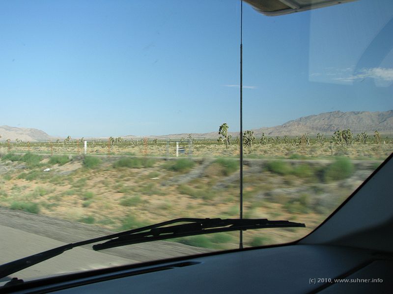 IMG_1964.JPG - Trees - forget it! Only some sort of larger growing cactuses.