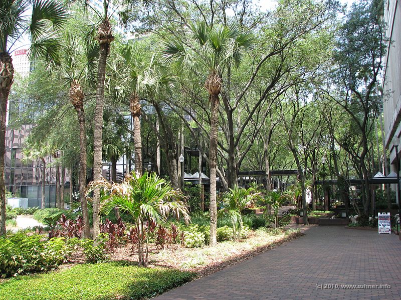 IMG_2387.JPG - ...green areas in between to let you relax...