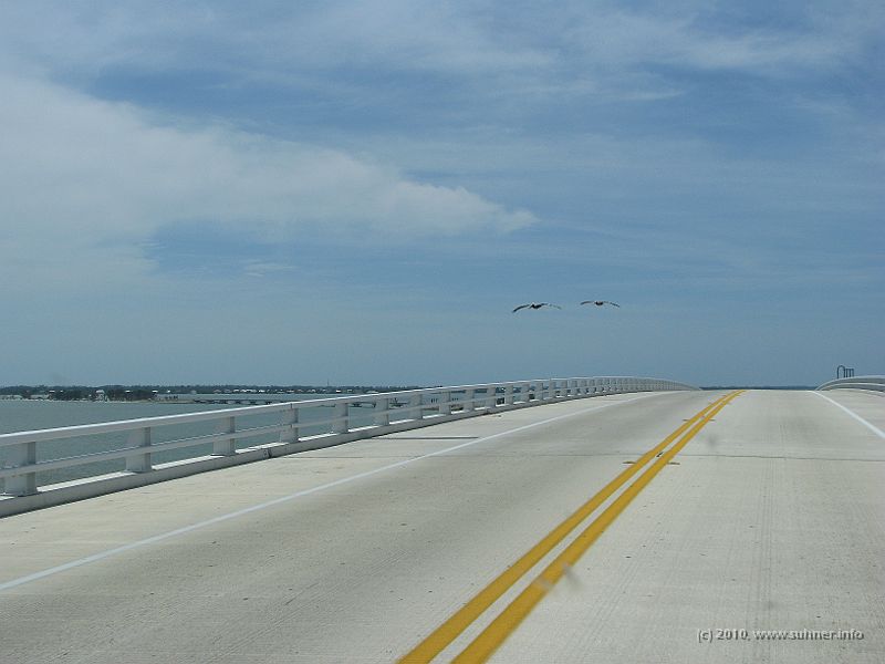 IMG_2525.JPG - Pelicans passing low over one of the many bridges - they're awesome birds!