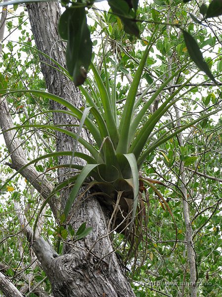 IMG_2735.JPG - ...and more...