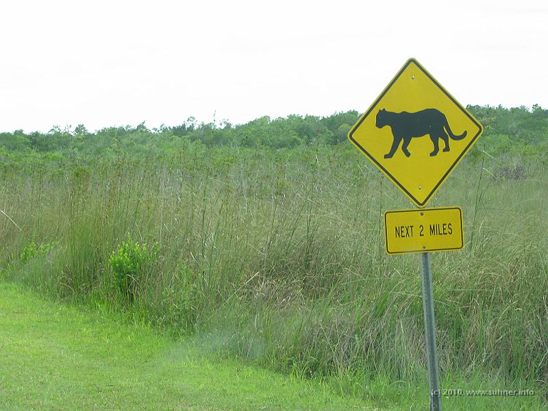 IMG_2793.JPG - Unfortunately only saw the road signs, but none of these rare Florida panthers.