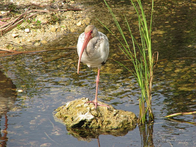 IMG_2846.JPG - leg rest (at least for one leg)