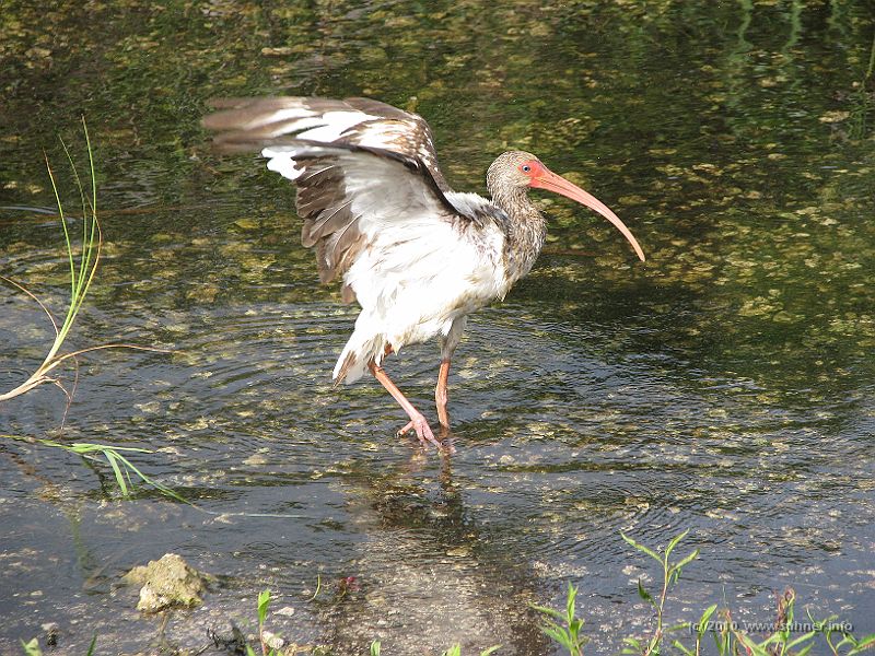 IMG_2879.JPG - ...that should do, let's dry off again...