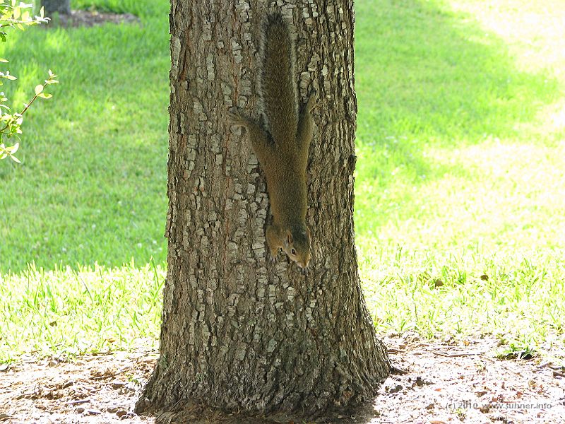 IMG_3125.JPG - How many years of yoga training does this take?